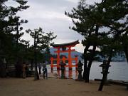 foto_20061111_1124_02