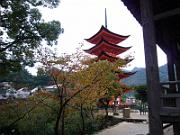 foto_20061111_1133_02