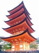 foto_20061111_1135_01