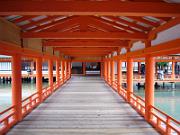 foto_20061111_1209_01