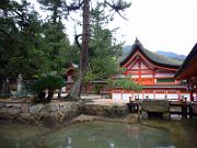 foto_20061111_1210_01