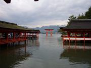 foto_20061111_1211_02