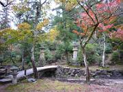 foto_20061111_1305_02