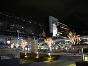 foto_20061111_2111_04