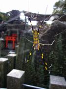 foto_20061112_1122_02