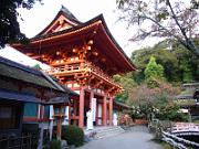 foto_20061112_1532_01