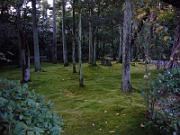 foto_20061112_1645_02