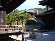 foto_20061113_1014_02