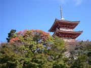 foto_20061113_1053_01