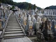 foto_20061113_1223_01