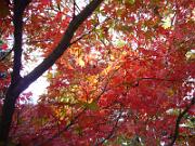 foto_20061113_1347_01