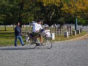 foto_20061113_1405_01