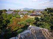 foto_20061113_1510_01