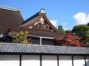 foto_20061115_1046_01