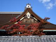 foto_20061115_1048_01