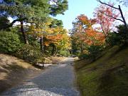 foto_20061115_1433_01