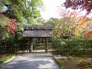 foto_20061115_1434_02