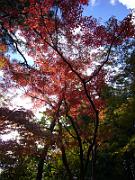 foto_20061115_1434_03