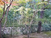 foto_20061115_1435_01