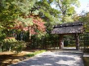 foto_20061115_1436_01