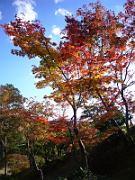 foto_20061115_1438_01