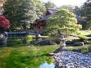 foto_20061115_1444_02