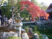 foto_20061115_1446_01