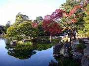 foto_20061115_1446_04