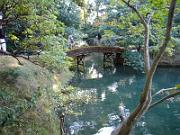 foto_20061115_1457_01