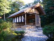 foto_20061115_1505_01