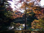 foto_20061115_1508_01