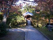 foto_20061115_1509_01