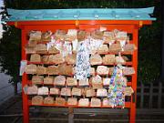 foto_20061115_1653_01