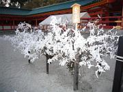 foto_20061115_1653_02