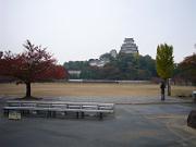 foto_20061114_1108_01