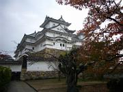 foto_20061114_1140_01