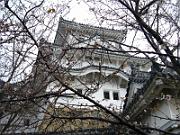 foto_20061114_1142_01