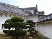 foto_20061114_1147_02