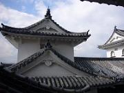 foto_20061114_1209_01