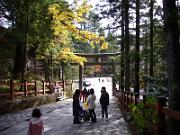 foto_20061126_1209_01